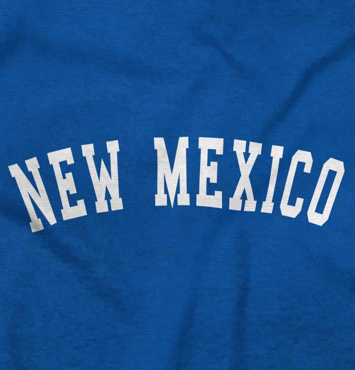 image:imageUSA State Simple Traditional Classic Sweatshirt for Men and WomenRoyal