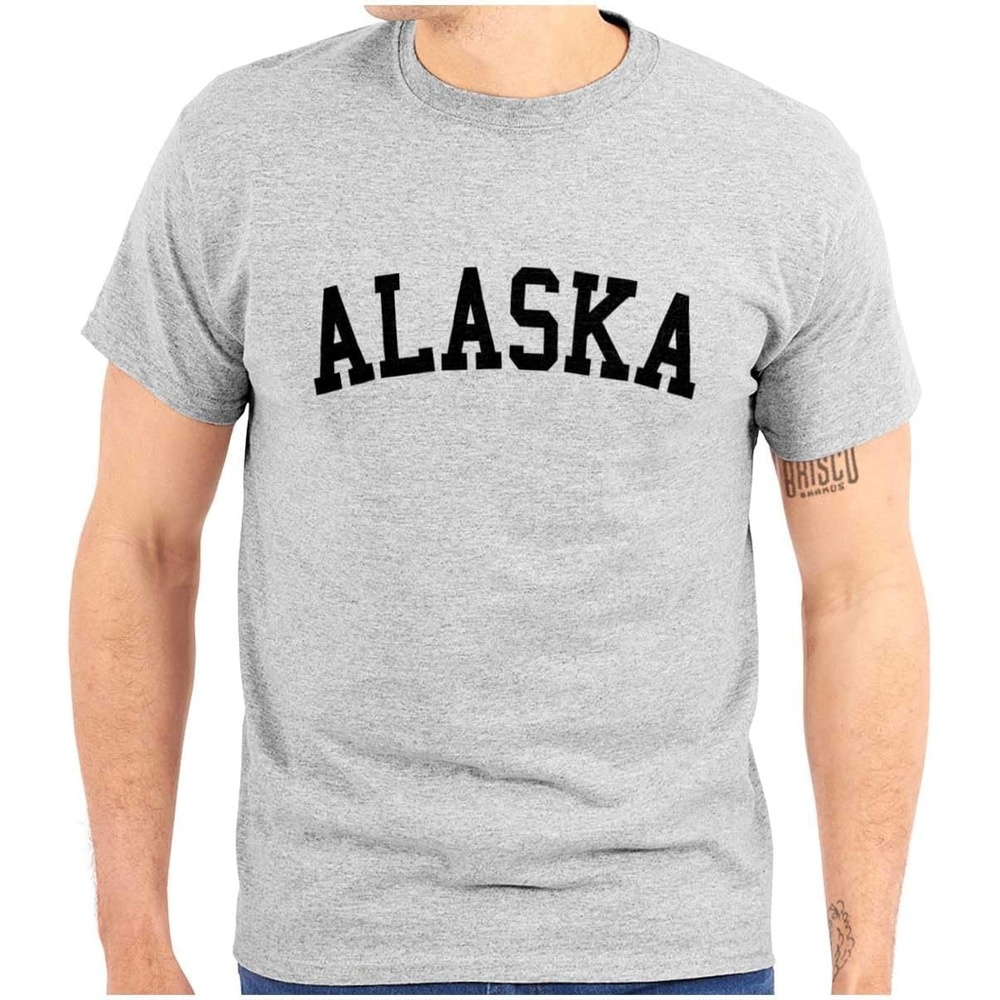 image:imageUSA State Simple Traditional Classic Graphic T Shirt for Men or WomenSport Grey
