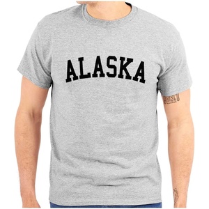 USA State Simple Traditional Classic Graphic T Shirt for Men or Women(Sport Grey)