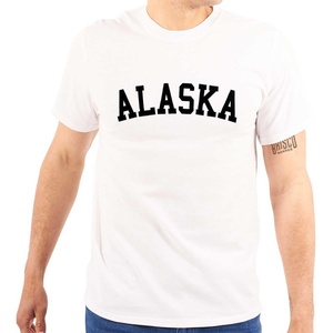 USA State Simple Traditional Classic Graphic T Shirt for Men or Women(White)