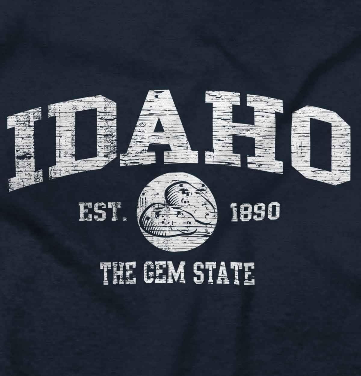 image:imageClassic Vintage American State Souvenir Sweatshirt for Men and WomenNavy