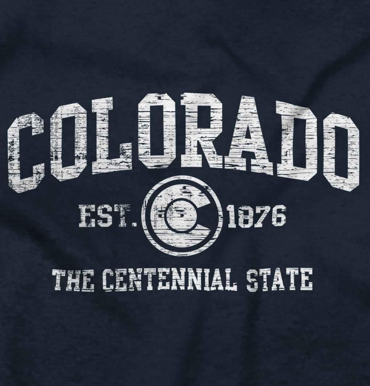 image:imageClassic Vintage American State Souvenir Sweatshirt for Men and WomenNavy