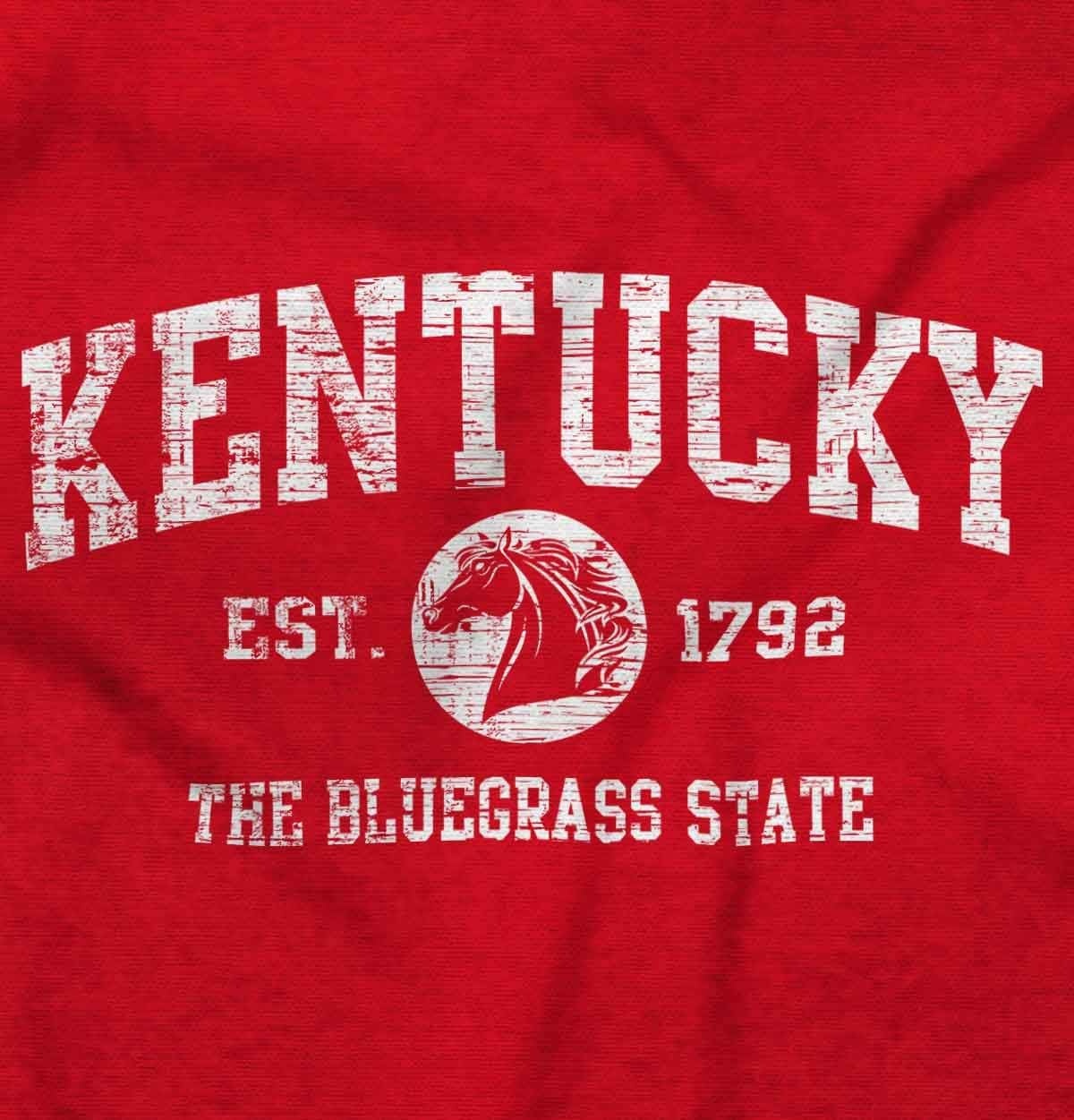 image:imageClassic Vintage American State Souvenir Sweatshirt for Men and WomenRed