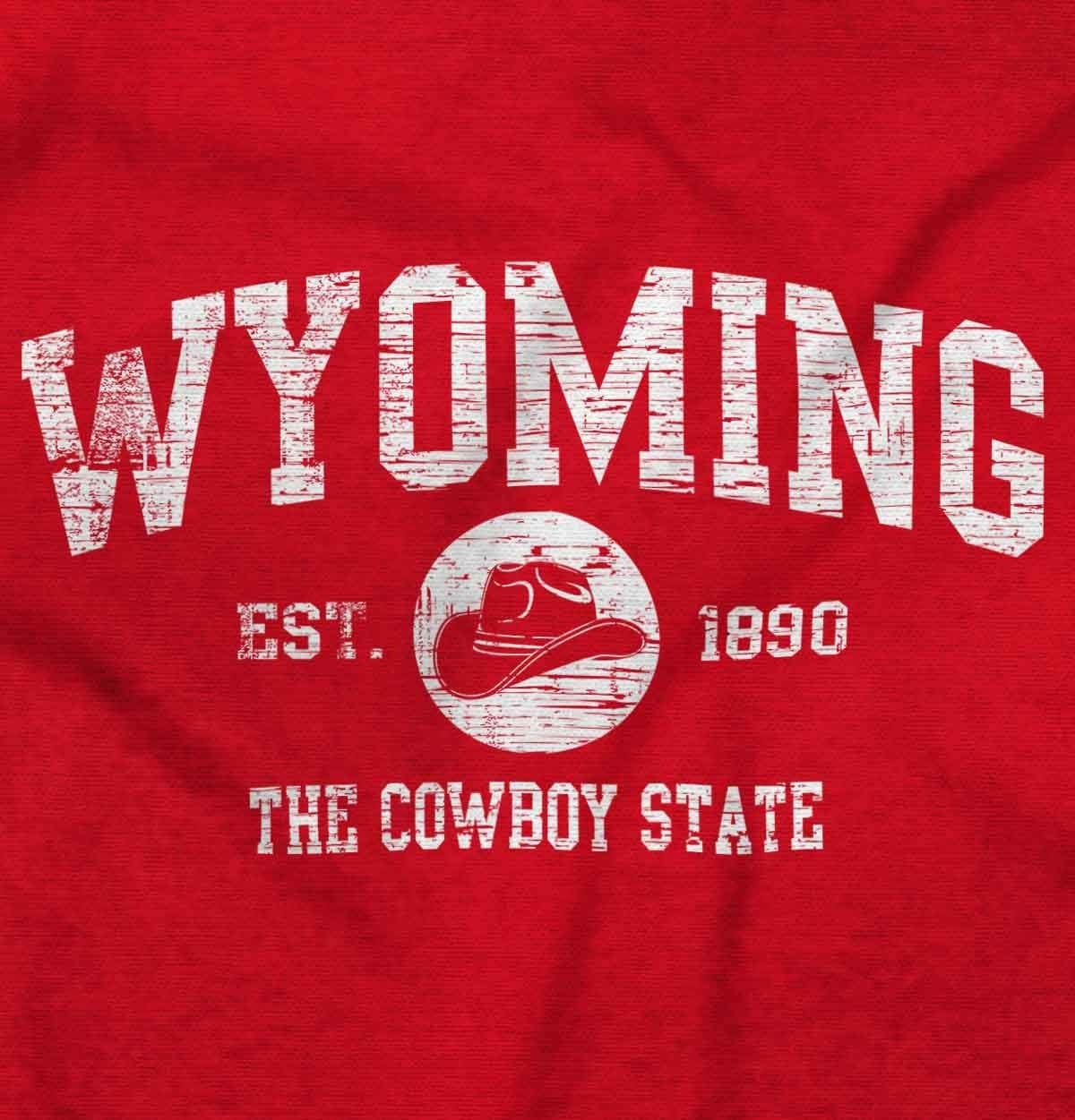 image:imageClassic Vintage American State Souvenir Sweatshirt for Men and WomenRed