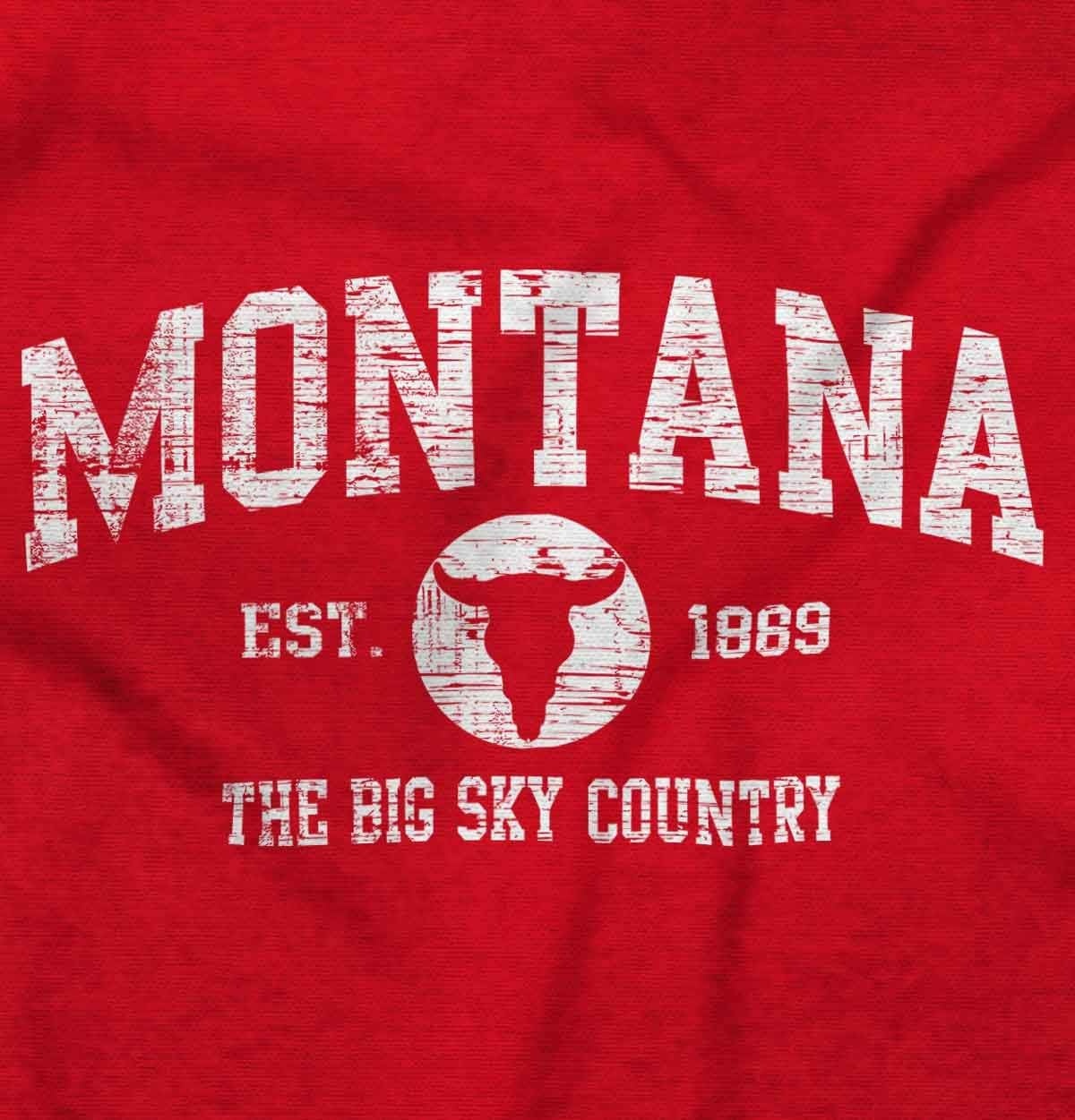 image:imageClassic Vintage American State Souvenir Sweatshirt for Men and WomenRed