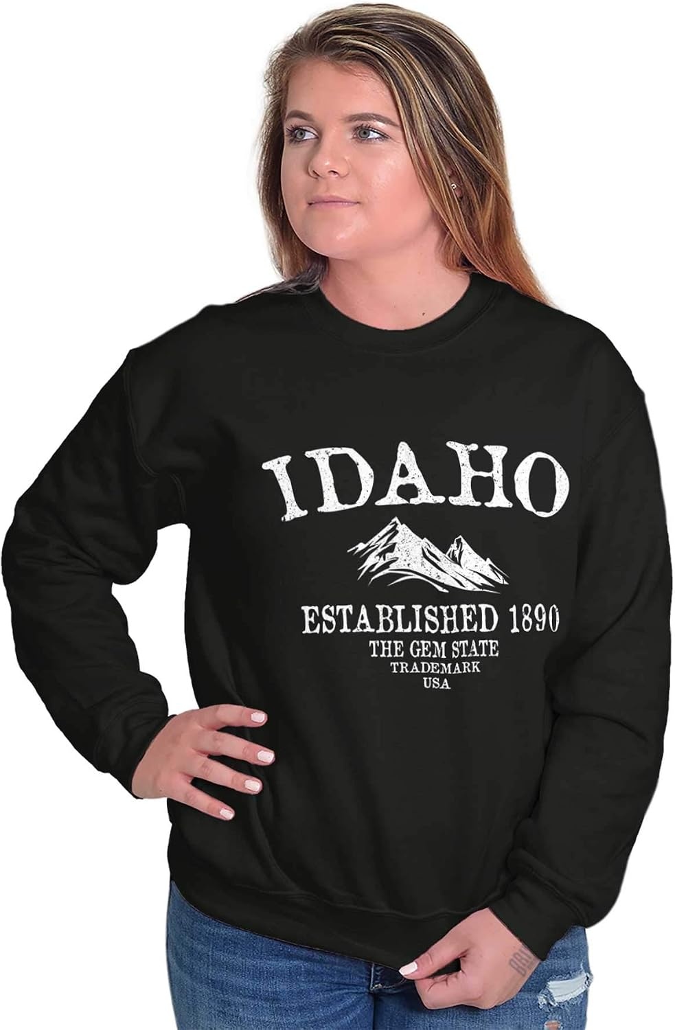 image:imageUSA State Vintage Established Date Sweatshirt for Men or WomenBlack