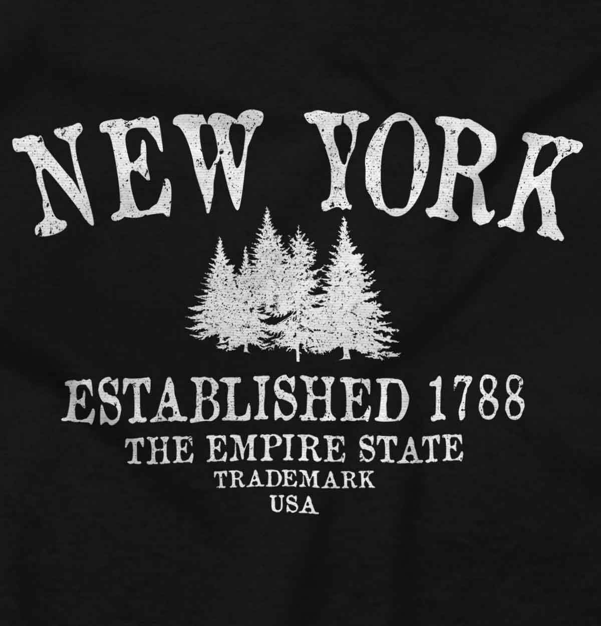 image:imageUSA State Vintage Established Date Sweatshirt for Men or WomenBlack