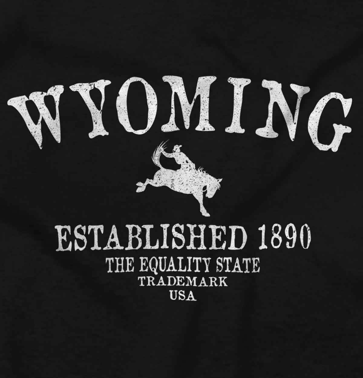 image:imageUSA State Vintage Established Date Sweatshirt for Men or WomenBlack