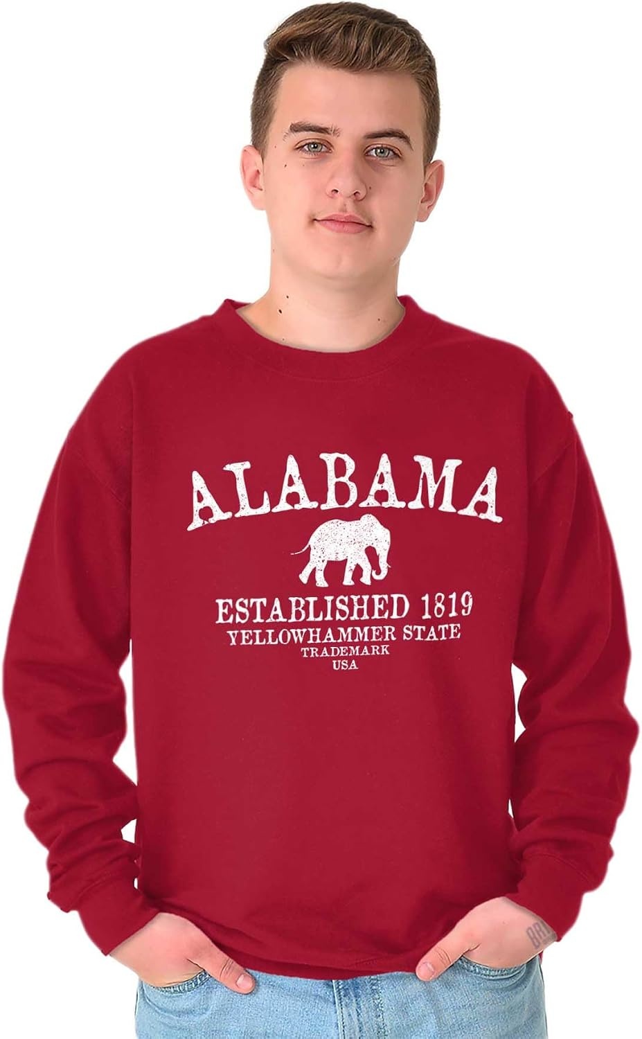 image:imageUSA State Vintage Established Date Sweatshirt for Men or WomenCardinal Red