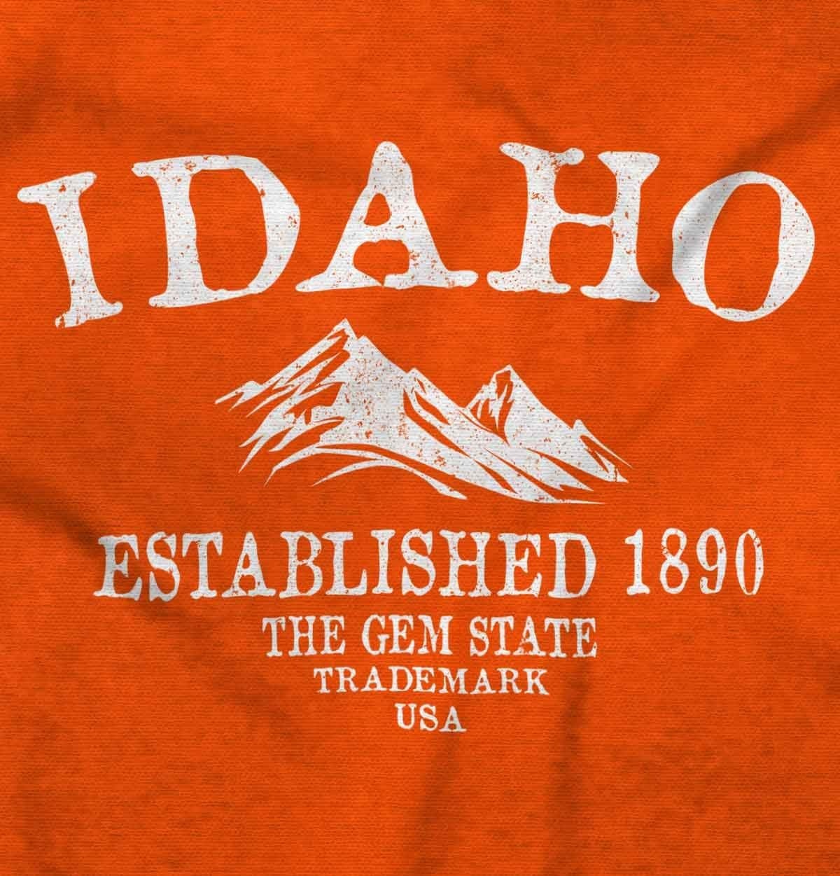 image:imageUSA State Vintage Established Date Sweatshirt for Men or WomenOrange