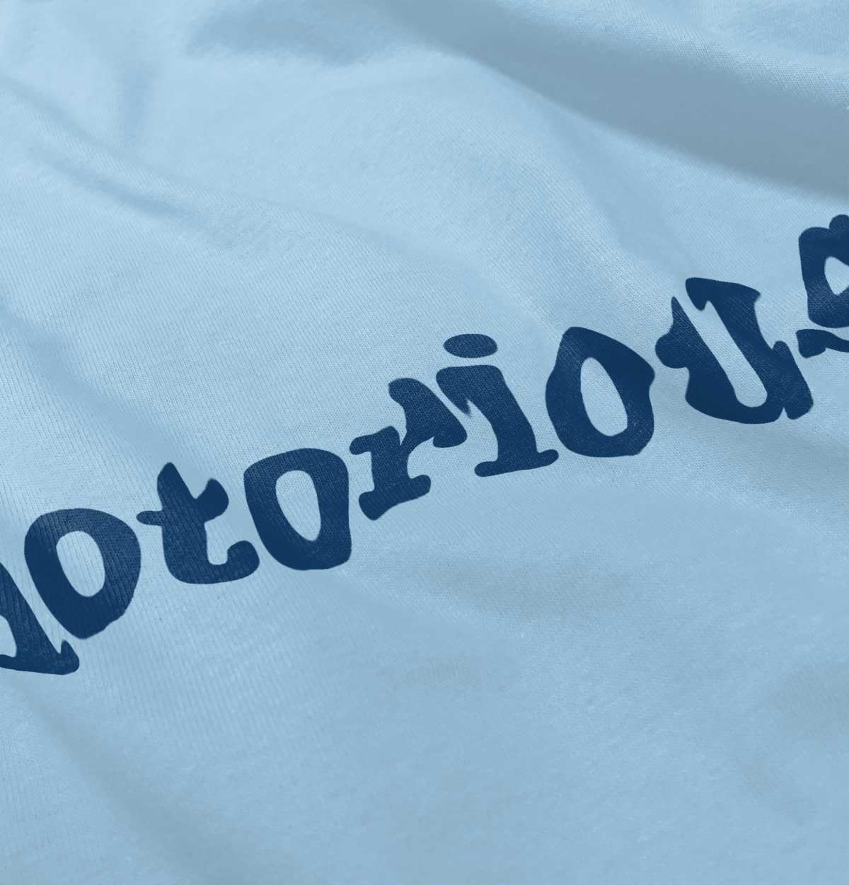 image:imageBrisco Brands Notorious Cool 1990s Throwback Toddler Boy Girl T ShirtLight Blue