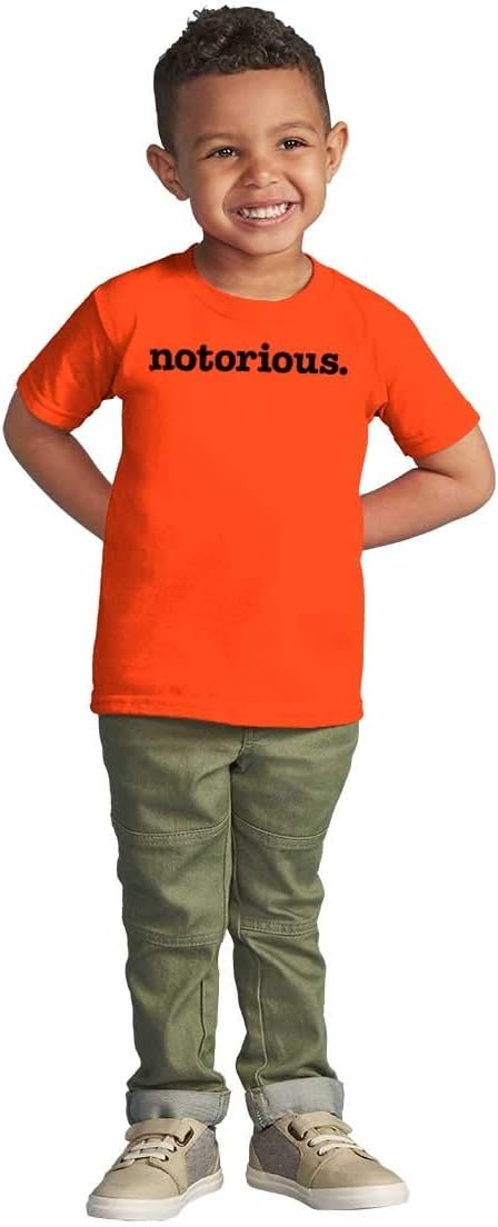 image:imageBrisco Brands Notorious Cool 1990s Throwback Toddler Boy Girl T ShirtOrange