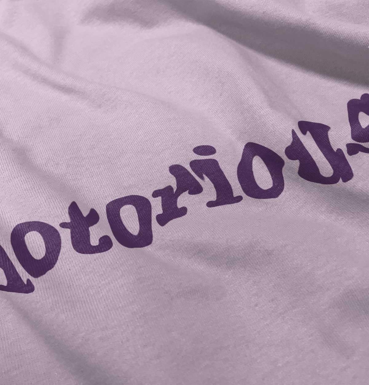 image:imageBrisco Brands Notorious Cool 1990s Throwback Toddler Boy Girl T ShirtPink