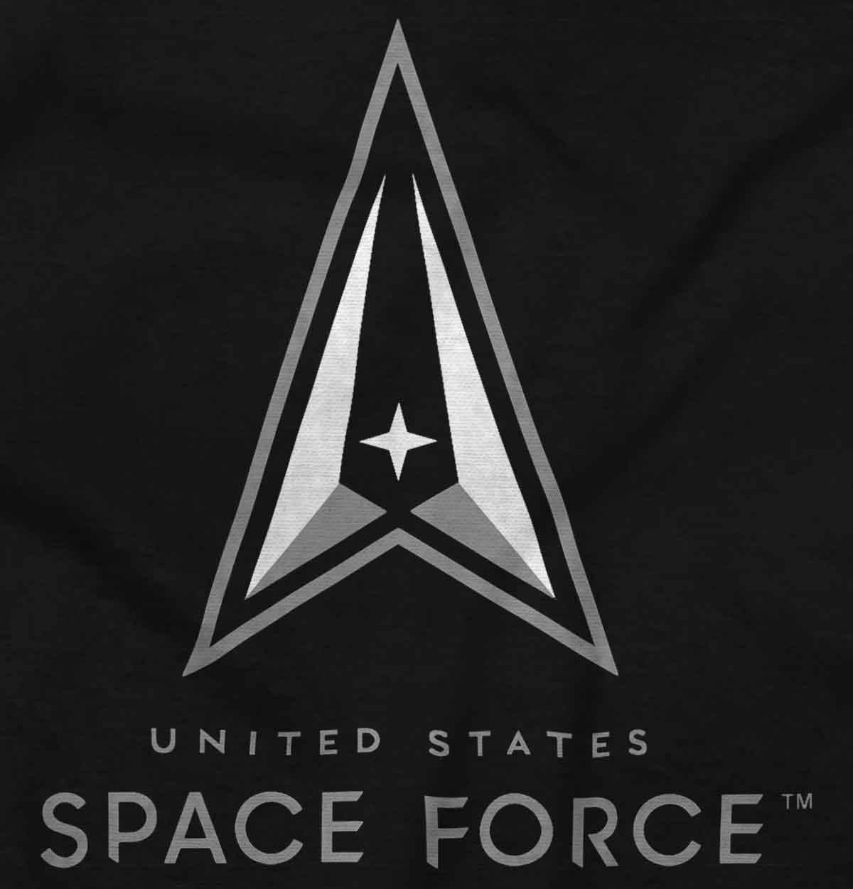 image:imageBrisco Brands US Space Force Classic Military Logo Hoodie Sweatshirt Women MenBlack