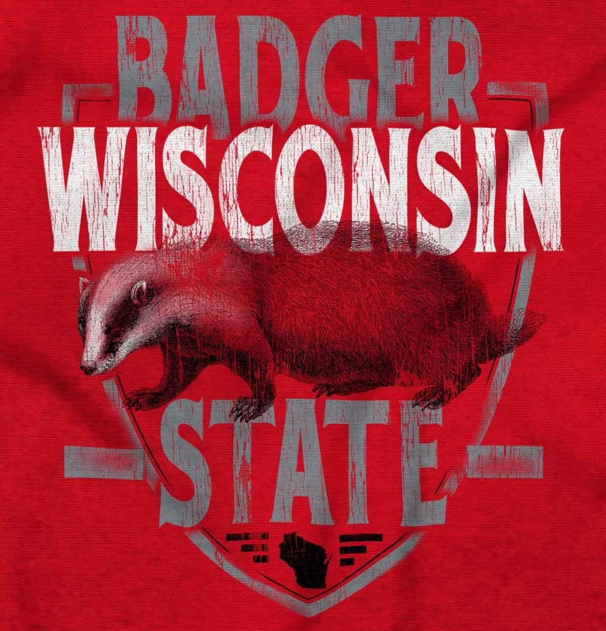 image:imageBrisco Brands Wisconsin Wispy Pride Cool Athletic Long Sleeve Tshirt Men WomenRed