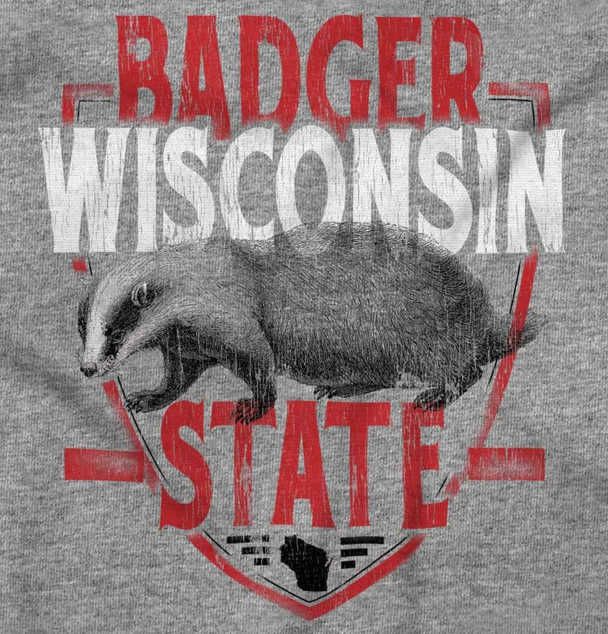 image:imageBrisco Brands Wisconsin Wispy Pride Cool Athletic Long Sleeve Tshirt Men WomenSport Grey