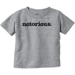 Brisco Brands Notorious Cool 1990s Throwback Toddler Boy Girl T Shirt(Heather)